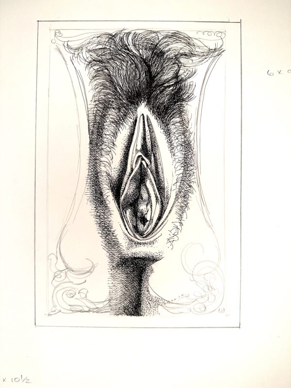 peninkvulva.17x14