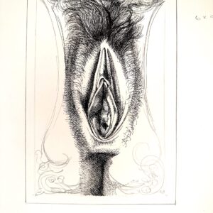 peninkvulva.17x14