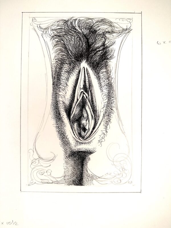 peninkvulva.17x14