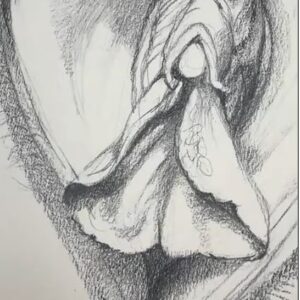 LongLabiaVulva_Cover