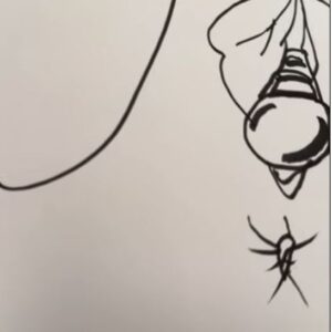 WhiteRocknRoll_Cover