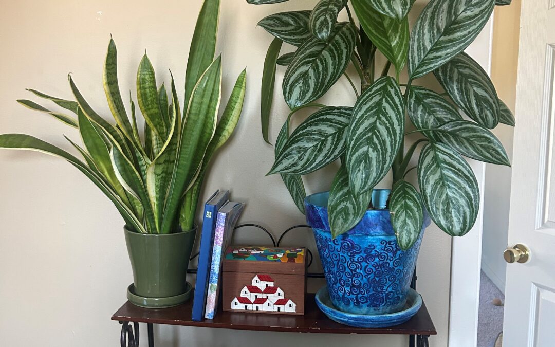 My Preference is to say “No”