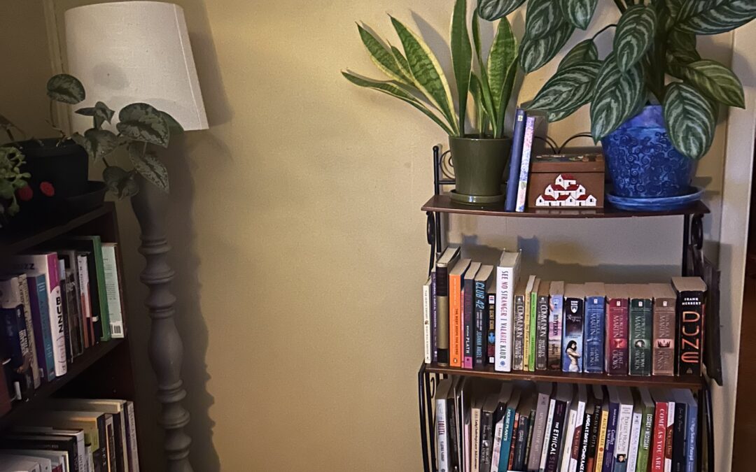 The Multiplicity of Orgasm