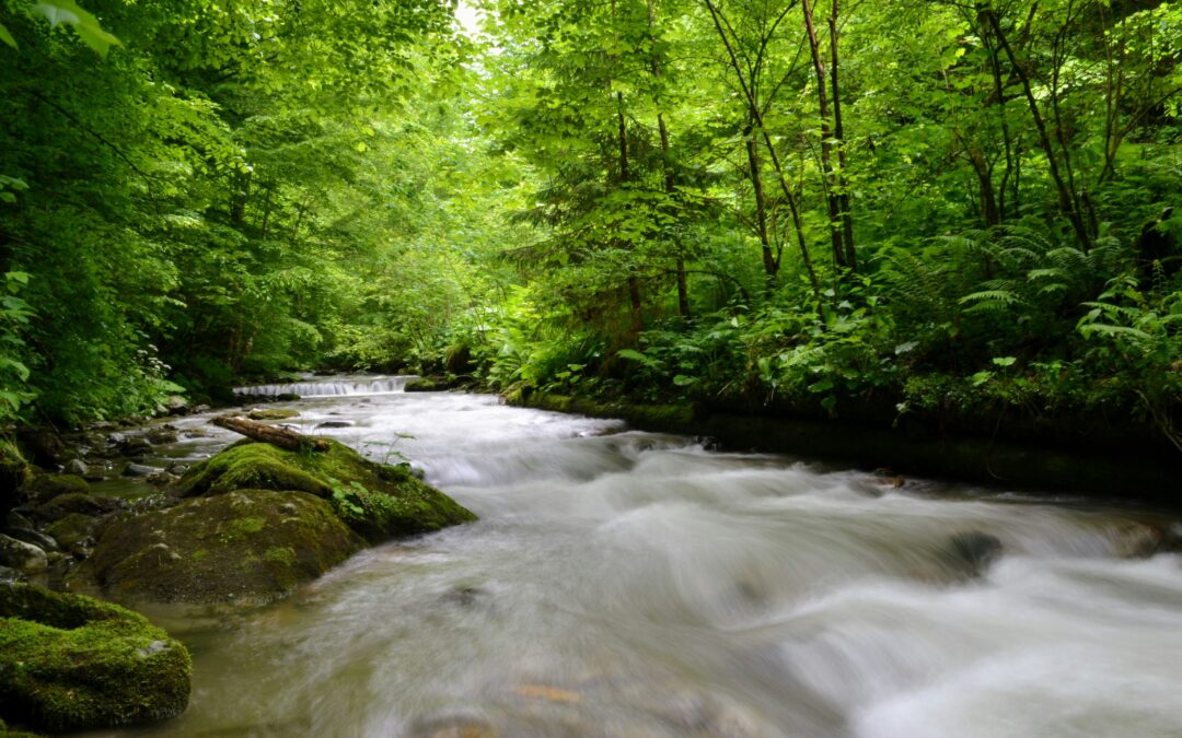 As Long as We’re Still Breathing We Have The Power To Change