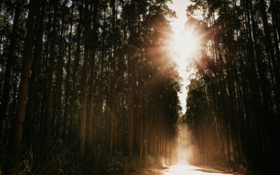 My Body, My Orgasms, and Keeping My Light Alive